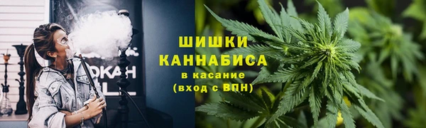 ГАЛЛЮЦИНОГЕННЫЕ ГРИБЫ Каменногорск