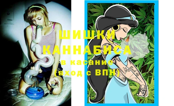 ПСИЛОЦИБИНОВЫЕ ГРИБЫ Коряжма