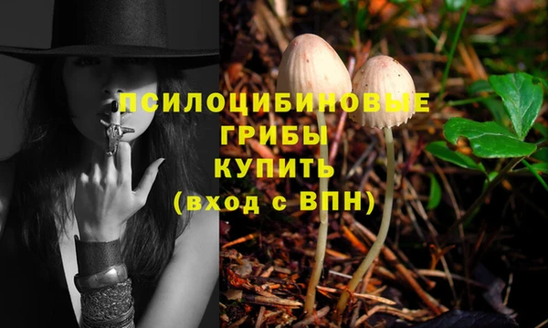 а пвп мука Новозыбков