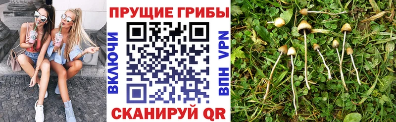 закладка  Карабулак  KRAKEN ссылки  Псилоцибиновые грибы ЛСД 