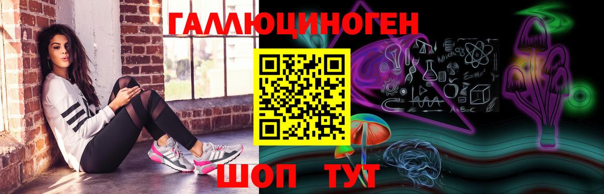 Галлюциногенные грибы Psilocybe  Вход с VPN  Карабулак 